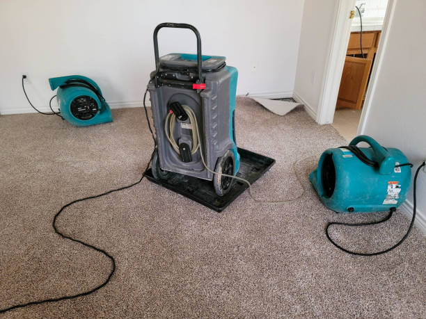 Best Mold removal after water damage  in Citrus Heights, CA