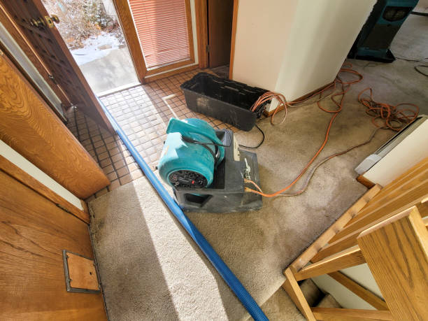 Best Professional water damage repair  in Citrus Heights, CA