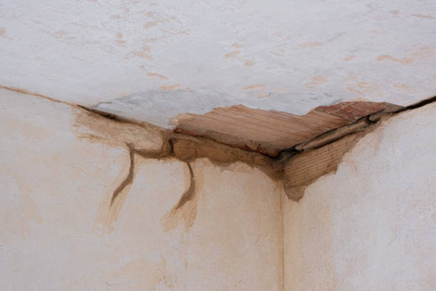 Best Water damage restoration process  in Citrus Heights, CA