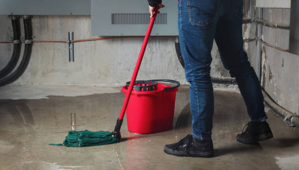 Citrus Heights, CA Water damage restoration Pros