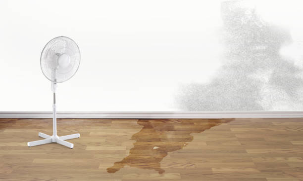 Best Emergency water damage restoration  in Citrus Heights, CA