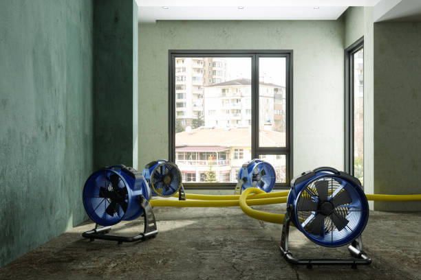 Best Water damage restoration near me  in Citrus Heights, CA