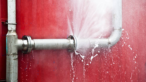Best Flooded house restoration  in Citrus Heights, CA