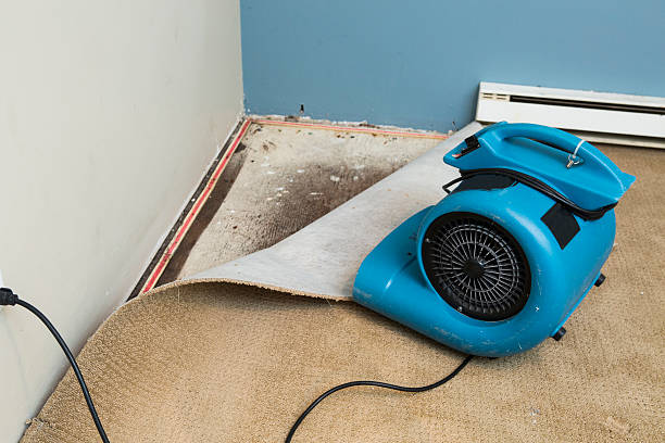 Best Basement water damage restoration  in Citrus Heights, CA